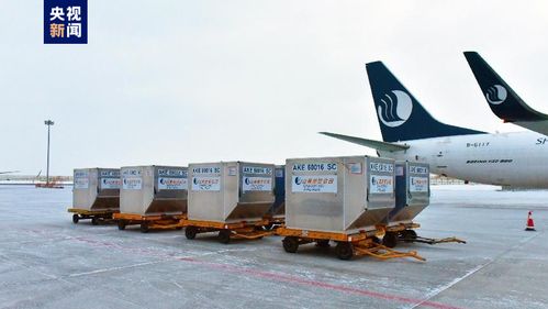 新疆首條定期國際貨運航線正式通航，年貨運吞吐量預計達3000噸