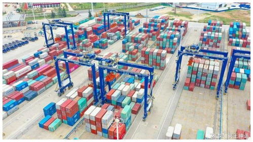 海南前7個(gè)月貨物貿(mào)易進(jìn)出口超1300億元，代理服務(wù)助力亮眼“成績(jī)單”